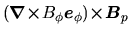 $(\mbox{\boldmath${\nabla \times}$}B_\phi\mbox{\boldmath${e}$}_\phi) \mbox{\boldmath${\times B}$}_p$